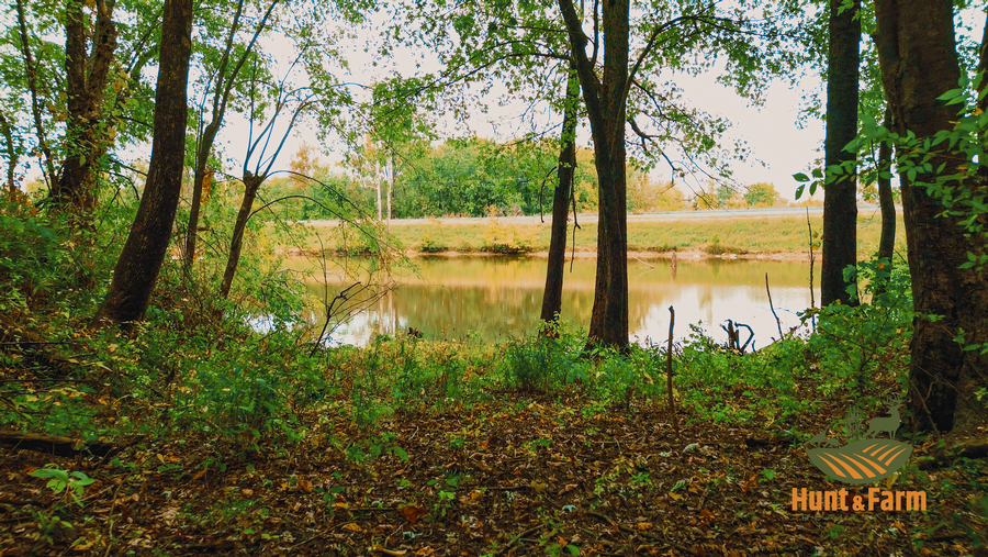 Still 2025-10-30 092500_1.11.1.png